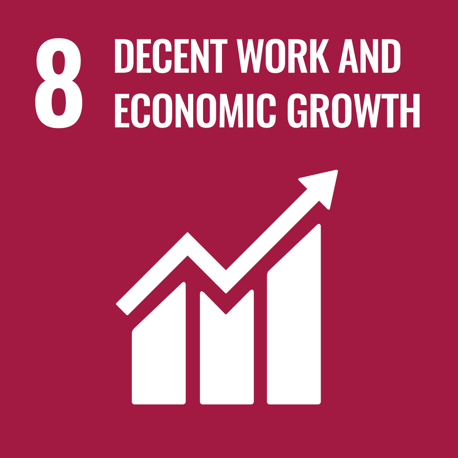 Sustainability Goal 8