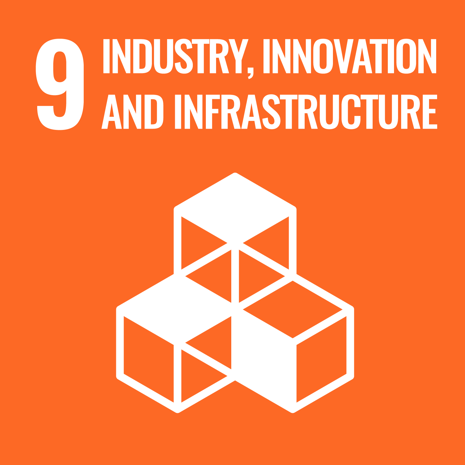 Sustainability Goal 9