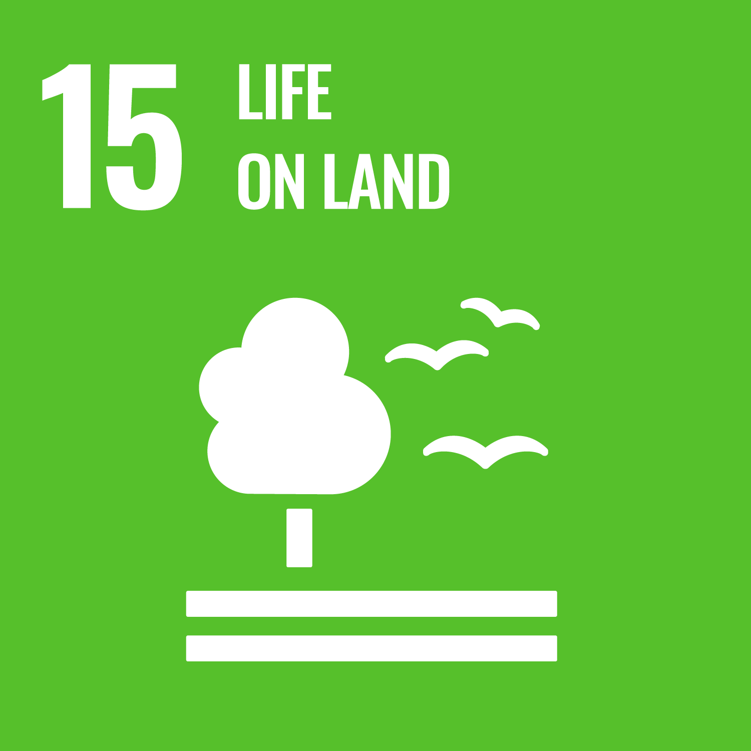 Sustainability Goal 15